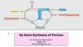 Purine Biosynthesis De Novo  Biochemistry  Molecular Biology [upl. by Erapsag]