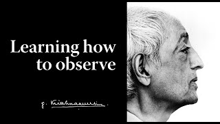 Learning how to observe  Krishnamurti [upl. by Feltie215]