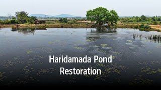 Haridamada Pond Restoration  Odisha [upl. by Oniram222]