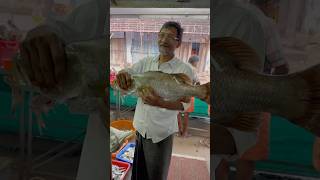 നീർനായ ശല്യം 😱 otter fishfarming fisherman shorts [upl. by Lacagnia]