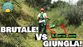 BRUTALE 65  SFIDO LERBA più ASSURDA col DECESPUGLIATORE  POTENTE 45HP vs ERBA ALTA e FITTA [upl. by Breana378]