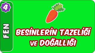 Besinlerin Tazeliği ve Doğallığı  4 Sınıf Fen evokul Kampı [upl. by Duhl]