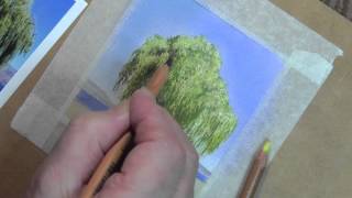 Draw this Willow Tree using Pastel Pencils [upl. by Suoivatnom]