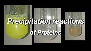 Precipitation Reactions of Proteins  Biochemistry [upl. by Buddy899]