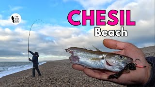 Catch amp Cook Chesil Beach Edition [upl. by Chow]