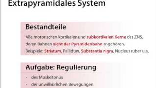 ParkinsonSyndrom Parkinson Krankheit [upl. by Nikral25]