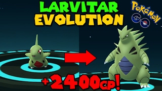 Evolving LARVITAR to TYRANITAR Pokemon Go GEN 2 Evolution [upl. by Irbua281]