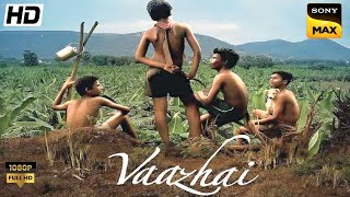 Vaazhai Full Movie In Hindi 2024  Kalaiyarasan Nikhila Vimal Priyanka Nair  360p Facts amp Review [upl. by Iadrahs833]