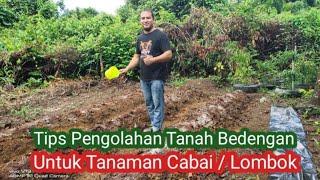 Tips pengolahan tanah bedengan untuk menanam cabai  lombok [upl. by Amand158]