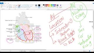 Electrocardiogram ECG or EKGConduction system of heartUSMLE STEP 1 [upl. by Aseretairam]