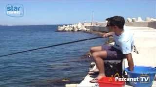 Come pescare in mare le boghe con la canna fissa  Star FishingTV [upl. by Erick172]