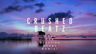 When The Bassline Drops Remix  Summer 2019 [upl. by Wey391]