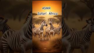 short asmr Safari África susurros relajantes [upl. by Notnarb]