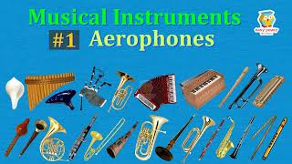 Aerophones 26 Musical Instruments with Pictures amp Sounds  Ethnographic Classification viral [upl. by Maloy]