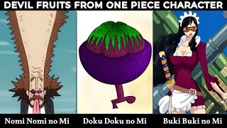 PARAMECIA Devil Fruit In ONE PIECE Characters [upl. by Alisen64]