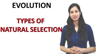 Types Of Natural Selection I Stabilizing I Direction I Disruptive Selection I Evolution [upl. by Hanikehs]