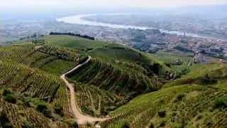 Discover The Wines of the Rhone Valley Part 1 of 3 [upl. by Llesig]