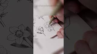 How to Draw a Peony Flower [upl. by Sig]