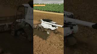 Canola Harvesting with Lizard Reaper 2000 Harvester  Farming Simulator 22 [upl. by Nalyk]