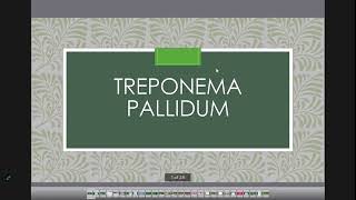 treponema pallidum [upl. by Chapnick354]