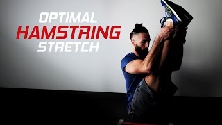 How to Stretch Your Hamstrings تمرين استطالة للعضلة الفخذ الخلفية [upl. by Shaia519]