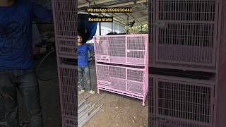 4×2×2 feet birds cage WhatsApp 8590830442 [upl. by Pasahow]