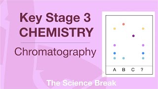 Key Stage 3 Chemistry  Chromatography [upl. by Ranique]