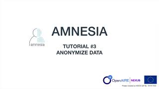 Amnesia Anonymization Tool tutorial Data Anonymization [upl. by Ellezig]