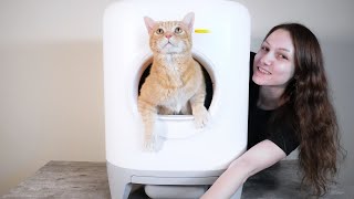 Petkit Pura X Automatic Litter Box Review We Tested It [upl. by Garald]