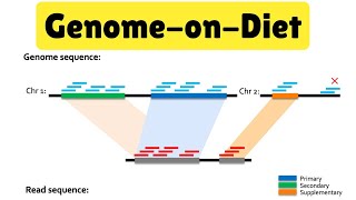 ECOM 6349  Lecture 5  GenomeonDiet amp Sparsified Genomics  Prof Mohammed Alser [upl. by Harihs]