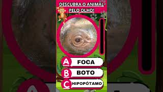 Desafio Você Consegue Identificar o Animal Pelo Olhar [upl. by Elamrej]