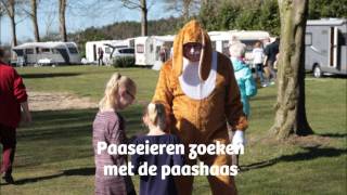 Camping de Otterberg Wijster [upl. by Duston]