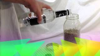 How To Create Oregano Tincture [upl. by Bertrando]