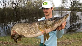 Fishing GIANT LURES for TROPHY PIKE [upl. by Tudor168]