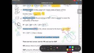 16 physiology cardiac output 1 [upl. by Urania]