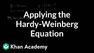 Applying the HardyWeinberg equation  Biomolecules  MCAT  Khan Academy [upl. by Kline]