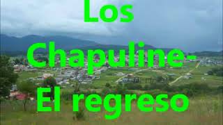 El borrachito  Los chapulines el regreso [upl. by Feeley]