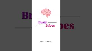 Brain Lobes  frontal parietal occipital  Bio Archives  Manan Sachdeva [upl. by Theressa]