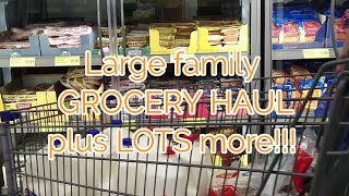 Large Family October GROCERY HAUL plus LOTS MORE [upl. by Atikim797]