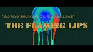 The Flaming Lips  At The Movies On Quaaludes Official Video [upl. by Ridley768]