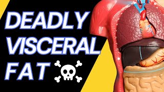 How to lose visceral fat What is visceral fat [upl. by Llenrep690]