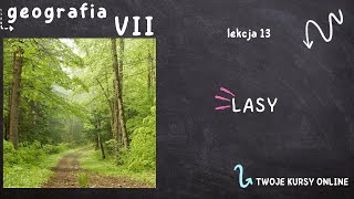 Geografia klasa 7 Lekcja 13  Lasy [upl. by Sivolc742]