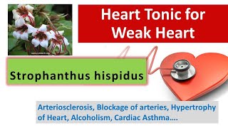 Tonic for Weak Heart  Block arteries  Cardiac Asthma  Strophanthus स्ट्रोफैंथस [upl. by Ellevehc]