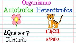 Organismos 🌿AUTÓTROFOS Y HETERÓTROFOS🐝 Fácil y Rápido  BIOLOGÍA [upl. by Lazar]