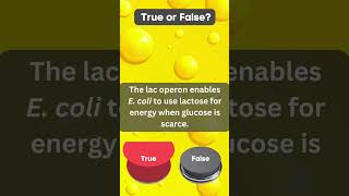 Biology Definition Challenge  Lac operon 2 [upl. by Asilrac256]