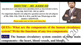 What are the components of the human circulatory system Write the functions of any two components [upl. by Eden222]