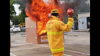 ELIDE FIRE® Extinguishing ball [upl. by Scholem884]