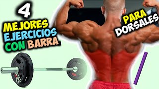 Los 4 MEJORES EJERCICIOS Con BARRA 👉 Para Ganar UNOS DORSALES Grandes Y Musculosos  ESPALDA [upl. by Charbonnier]