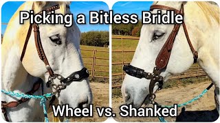 Picking a Bitless Bridle  Comparison between shanked hackamore and wheel hackamore [upl. by Artim]