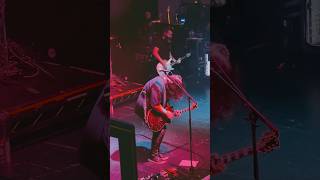 WOLFGANG VANHALEN LIVE GUITAR SOLO shorts guitar vanhalen [upl. by Beffrey470]